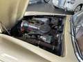 Mercedes-Benz 190 SL Schönes Fahrzeug von 1960 Beige - thumbnail 13