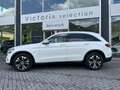 Mercedes-Benz GLC 220 GLC 220 D 4MATIC SPORT 194 CV C.AUTOMATICO NAVI R Alb - thumbnail 2