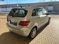 Mercedes-Benz B 200 elektr.Sitze Xenon Comand Tüv 11/27 Argent - thumbnail 5