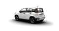 Fiat Panda Cross Hybrid 70 Weiß - thumbnail 3