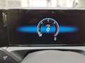 Volkswagen Tiguan 2.0 TDI DSG R-Line ACC IQ.LIGHT AHK Grün - thumbnail 10