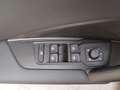 Volkswagen Tiguan 2.0 TDI DSG R-Line ACC IQ.LIGHT AHK Grün - thumbnail 13