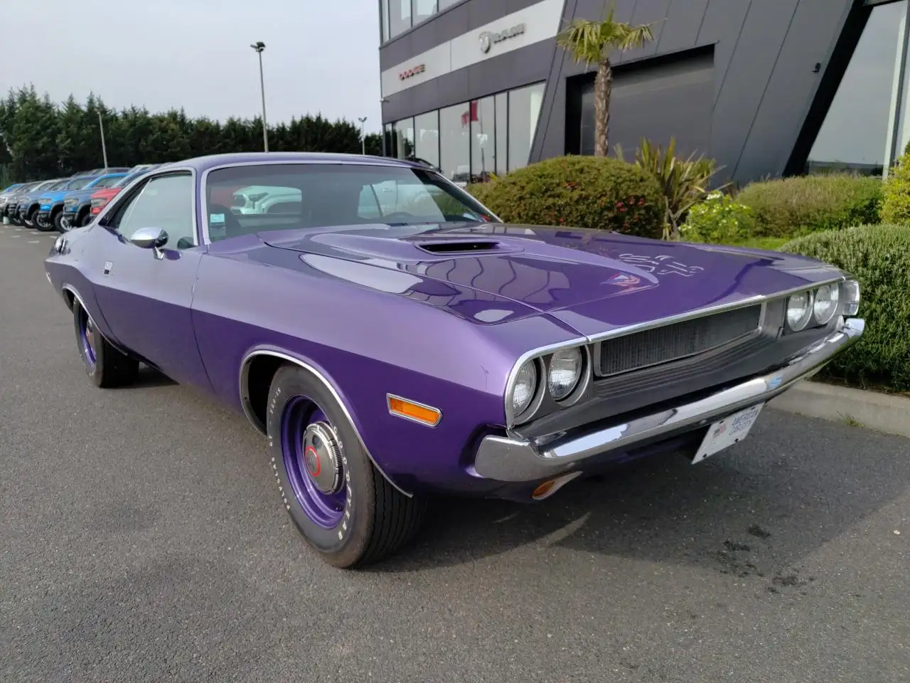 Dodge Challenger BIG BLOCK 383, ORIGINE FRANCE, foto 7