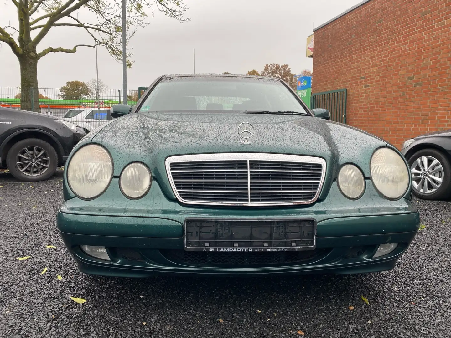 Mercedes-Benz C 240 Classic-Selection Zelená - 2