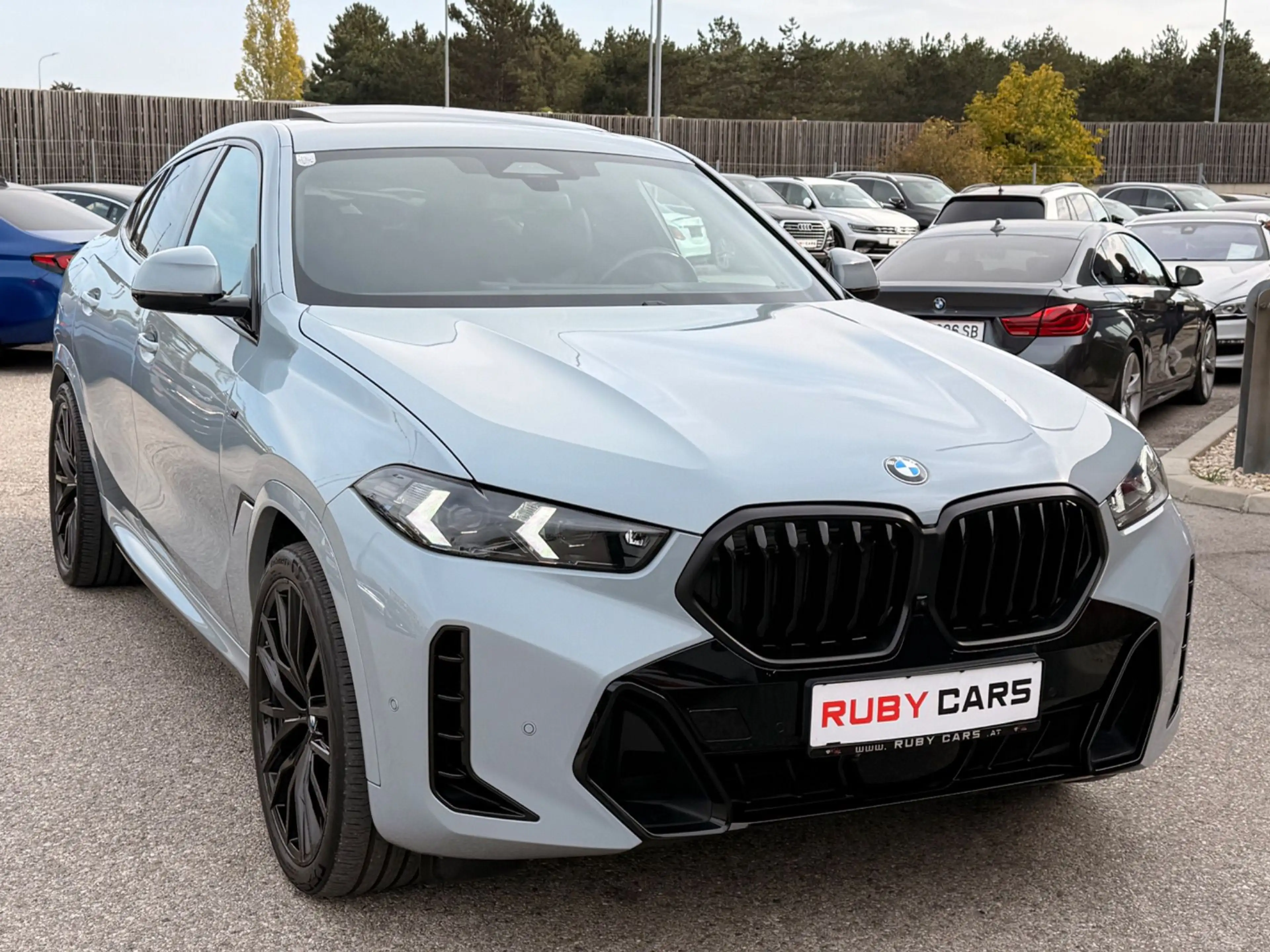 BMW X6 xDrive30d M Sport 48V Aut. / Lime Rock Grey — photo 8