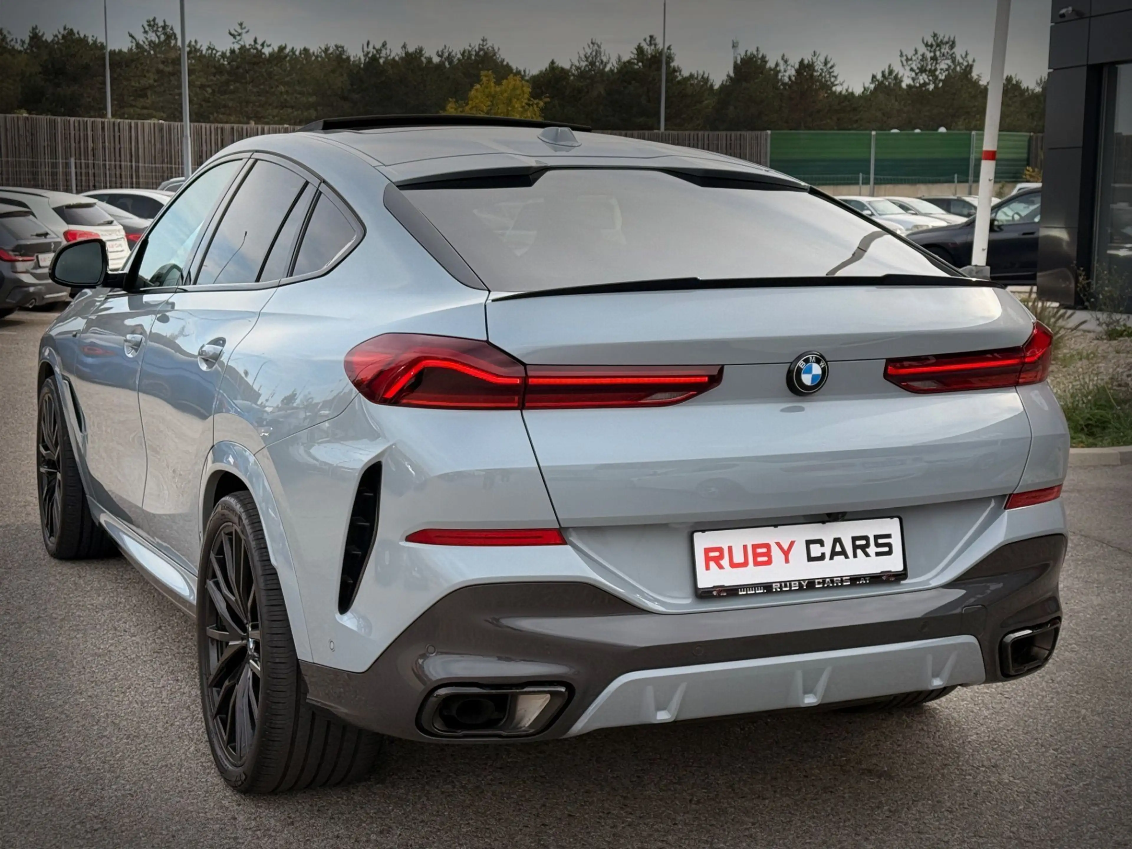 BMW X6 xDrive30d M Sport 48V Aut. / Lime Rock Grey — photo 5