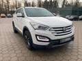 Hyundai SANTA FE Premium 4WD Leder Navi Xenon Blanc - thumbnail 2