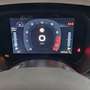 Fiat New Panda Pandina 1.0 FireFly  Hybrid  Cross Schwarz - thumbnail 12