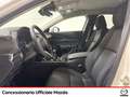 Mazda CX-30 2.0 m-hybrid exceed 2wd 150cv 6mt Bianco - thumbnail 7