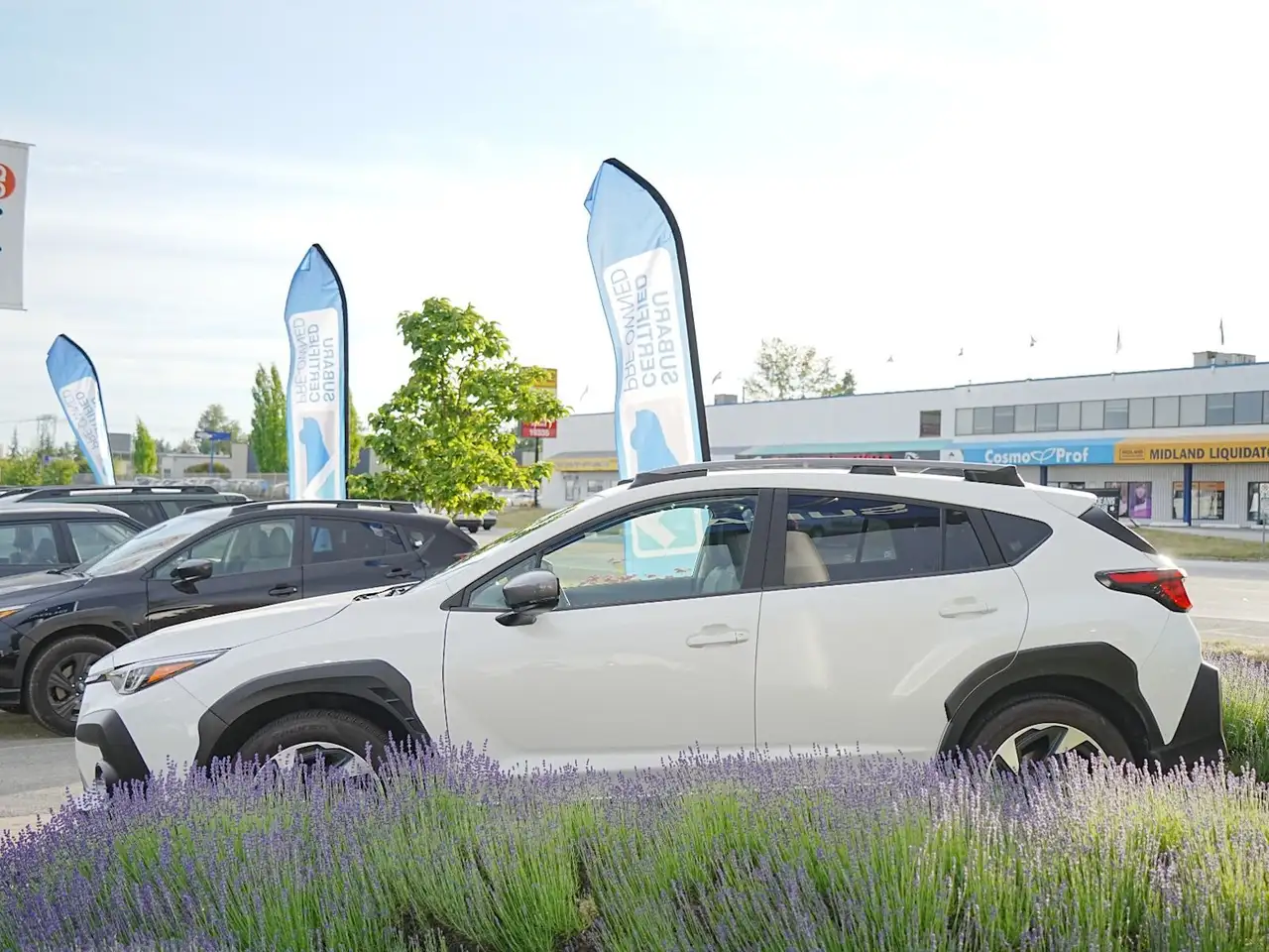 Subaru Crosstrek снимка Subaru Crosstrek