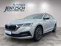 Skoda Octavia Combi Ambition LED/Navi/Kessy Silber - thumbnail 2