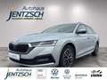 Skoda Octavia Combi Ambition LED/Navi/Kessy Silber - thumbnail 1