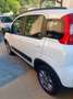 Fiat Panda Panda III 2012 4x4 1.3 mjt 16v K-way 4x4 s Bianco - thumbnail 5