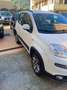 Fiat Panda Panda III 2012 4x4 1.3 mjt 16v K-way 4x4 s Bianco - thumbnail 3