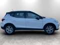 SEAT Arona 1.0 ecotsi Xperience 95cv Bianco - thumbnail 10