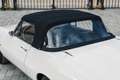 Fiat Dino Spider 2000 - fully restored Wit - thumbnail 15