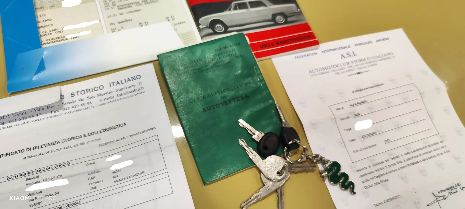 Alfa Romeo Giulia BERTONE Jaune - 2