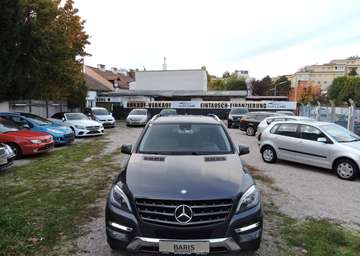 ML 250 CDI BlueTec (166.004)