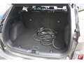 Ford Kuga PHEV ST-Line X El. Panodach B & O Leder LED Keyles Grigio - thumbnail 5