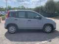 Fiat Panda Panda 1.0 firefly hybrid s Grigio - thumbnail 4