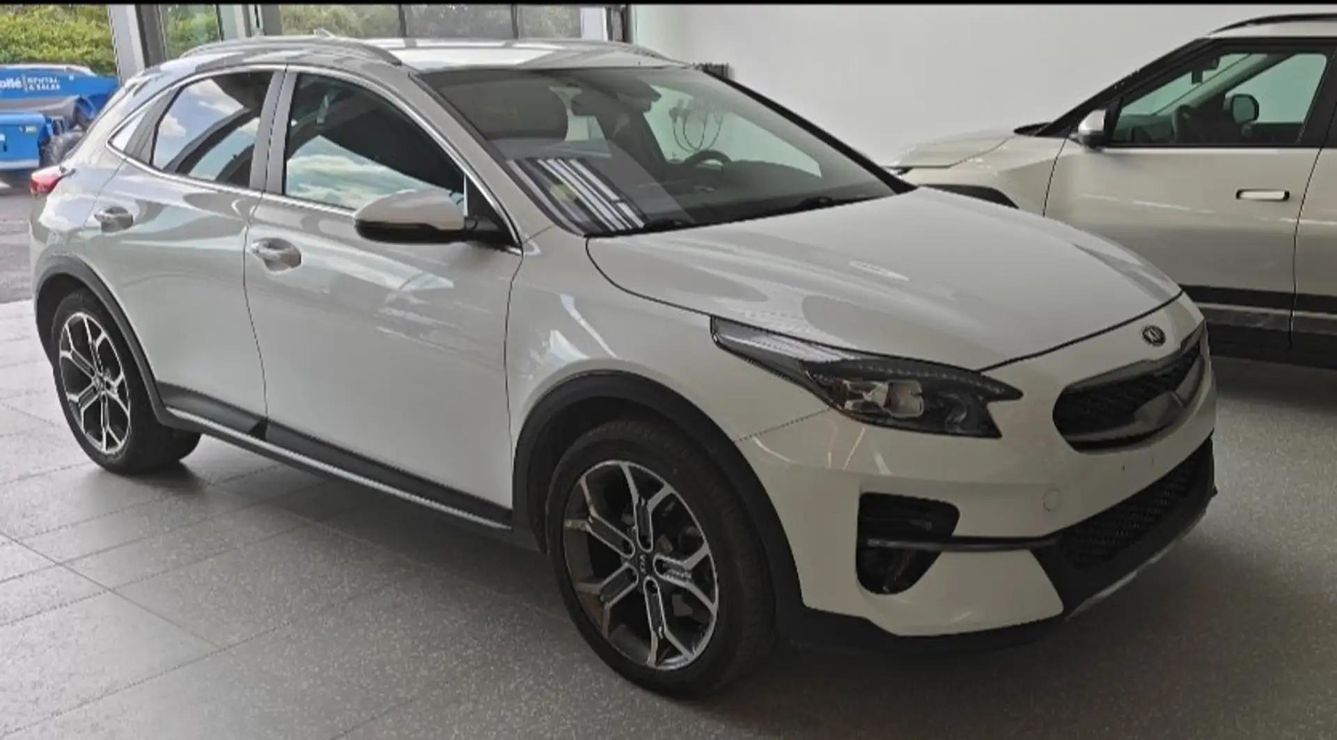 Kia XCeed XCeed 1.6 CRDi More ISG DCT Weiß - 2