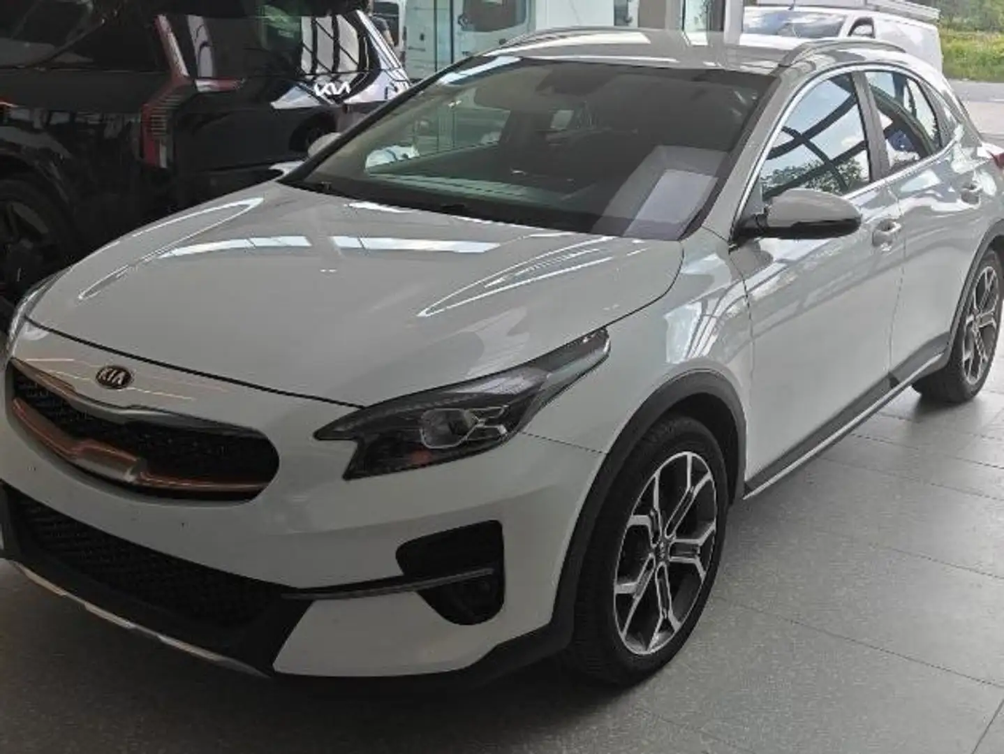 Kia XCeed XCeed 1.6 CRDi More ISG DCT Weiß - 1