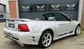 Ford Mustang USA 4.6 GT V8 Convertible GT + SALEEN(PAKKET) Grijs - thumbnail 27