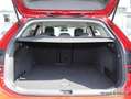 Volkswagen Passat 1.5 eTSI Business DSG 360°ACC AHK LED Nav Rot - thumbnail 11