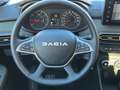 Dacia Sandero Stepway Expression tce90 Automatik, SHZ Verde - thumbnail 16