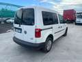 Volkswagen Caddy 2.0 TDI 110cv 4MOTION 4x4 - FG975YT Bianco - thumbnail 6