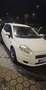 Fiat Punto Evo - thumbnail 2