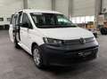Volkswagen Caddy Family 2,0 TDI - Top Zustand - 1. Besitz Weiß - thumbnail 8