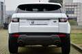 Land Rover Range Rover Evoque 5p 2.0 td4 150cv MOTORE NUOVO UFF LAND, PERFETTA Bianco - thumbnail 5