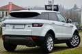 Land Rover Range Rover Evoque 5p 2.0 td4 150cv MOTORE NUOVO UFF LAND, PERFETTA Bianco - thumbnail 6