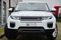 Land Rover Range Rover Evoque 5p 2.0 td4 150cv MOTORE NUOVO UFF LAND, PERFETTA Bianco - thumbnail 2