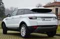 Land Rover Range Rover Evoque 5p 2.0 td4 150cv MOTORE NUOVO UFF LAND, PERFETTA Bianco - thumbnail 4