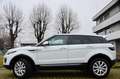 Land Rover Range Rover Evoque 5p 2.0 td4 150cv MOTORE NUOVO UFF LAND, PERFETTA Bianco - thumbnail 3