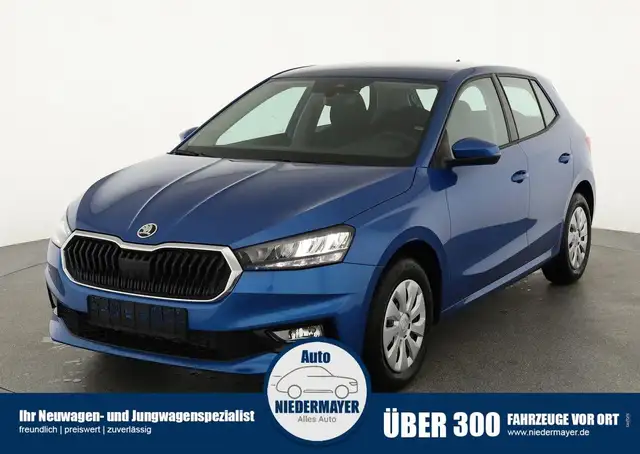 Skoda Fabia 1.0 TSI Selection, Ladeboden, Park, Winterpaket, S