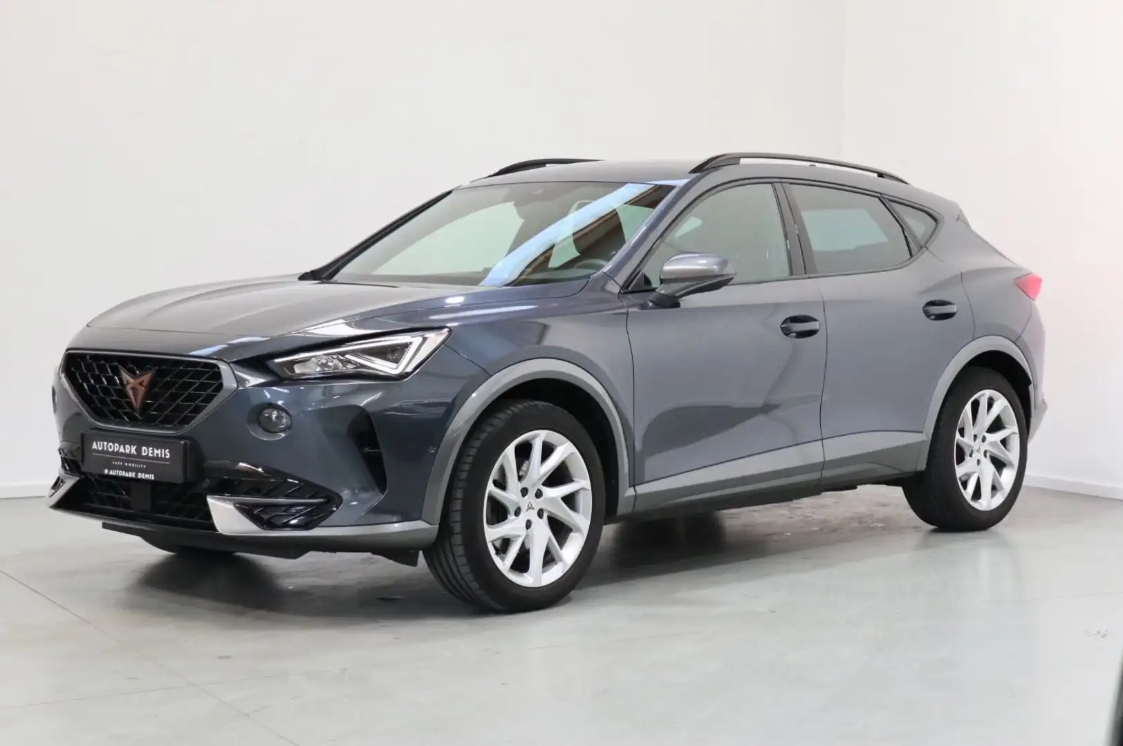 CUPRA Formentor 1.5 TSI/NAVI/KAMERA/SHZ/AMBIE/ACC/PDC Gris - 2