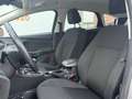 Ford Focus 125pk Lease Edition DEALERONDERHOUDEN/TREKHAAK/CLI Grijs - thumbnail 12