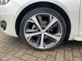 Peugeot 308 SW 1.6 Bluehdi GT Line 120 CV Weiß - thumbnail 17