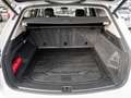 Volkswagen Touareg 3.0 V6 TDI Atmosphere 4M AHK NAVI LUF Weiß - thumbnail 15