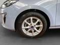 Ford Fiesta 1.0 EcoBoost S&S Aut. TITANIUM Blau - thumbnail 22