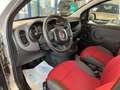 Fiat Panda SEULEMENT 19 000 KM TOP ETAT Grau - thumbnail 9