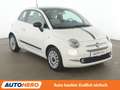 Fiat 500 1.2 Lounge Aut.*PANO*TEMPO*PDC*LIM*ALU* Weiß - thumbnail 8