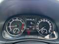Skoda Fabia Fabia III Combi Combi 1.0 MPI Clever * Navi* Weiß - thumbnail 15
