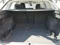 Skoda Octavia Combi 2.0 TDI DSG Ambition ASSIST+LED+LM Weiß - thumbnail 21