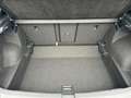 Volkswagen T-Roc T-Roc R-Line 1.0 l TSI GPF 81 kW (110 PS) 6-speed Bleu - thumbnail 13