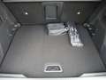 Citroen C4 Max BHDi 130 EAT8 Glasdach, Massage-Ledersitze Bianco - thumbnail 9