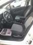 Fiat Grande Punto 1.3 MJT 5P EMOTION Bianco - thumbnail 8